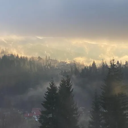 Domek letniskowy Vidal Tatarów