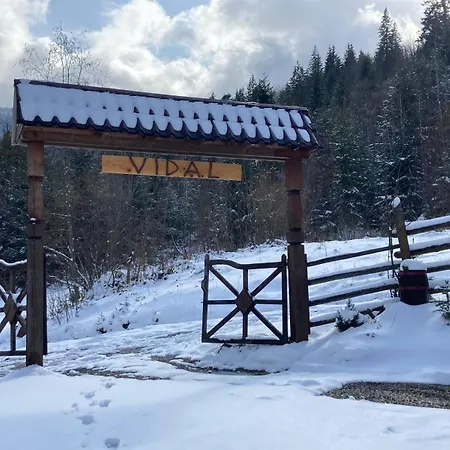 Vidal