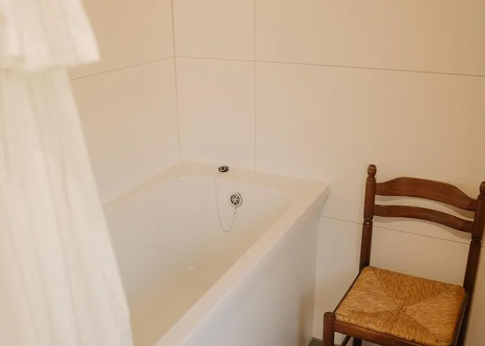 Vidal Lodge Tatariv